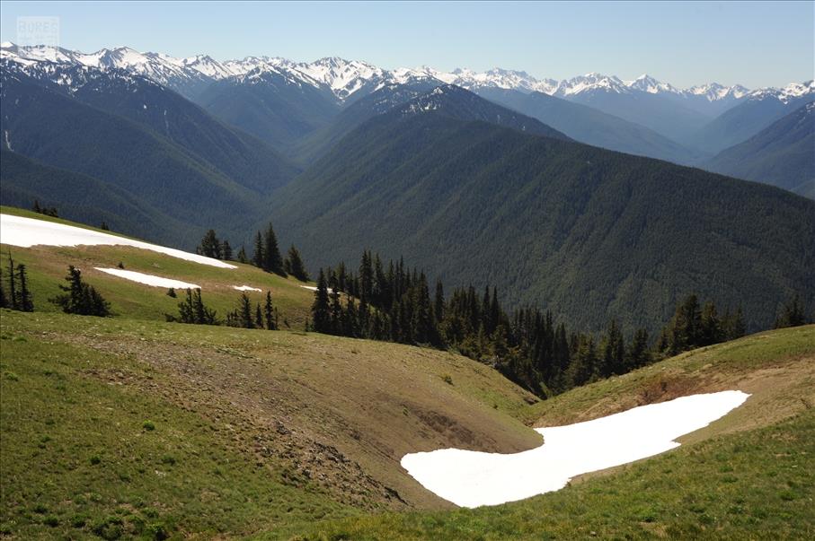 Olympic NP